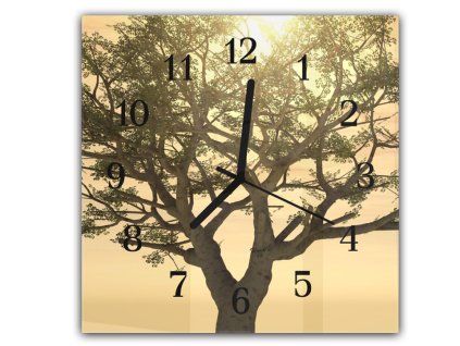 Nástěnné hodiny 30x30cm západ slunce v koruně stromu (Materiál kalené sklo)