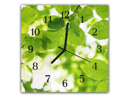 Nástěnné hodiny 30x30cm větev zelené listí buk (Materiál kalené sklo)