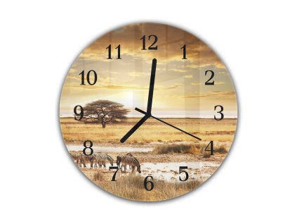 Nástěnné hodiny pr.30cm zebra Safari (Materiál kalené sklo)