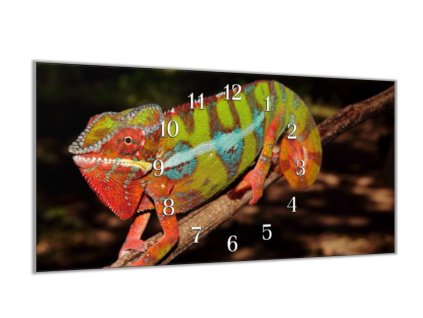 Nástěnné hodiny 30x60cm barevný chameleon (Materiál kalené sklo)