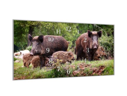 Nástěnné hodiny 30x60cm rodina divokých prasat (Materiál kalené sklo)