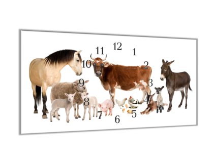 Nástěnné hodiny 30x60cm domácí zvířata farma (Materiál kalené sklo)