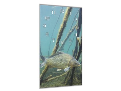 Nástěnné hodiny 30x60cm kapr šupináč pod hladinou (Materiál kalené sklo)