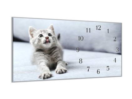 Nástěnné hodiny 30x60cm milé šedé kotě (Materiál kalené sklo)
