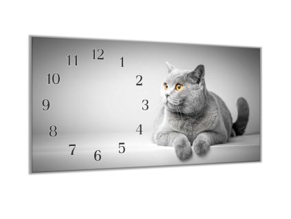 Nástěnné hodiny 30x60cm šedá Britská kočka (Materiál kalené sklo)