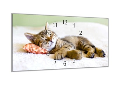 Nástěnné hodiny 30x60cm spící kotě (Materiál kalené sklo)