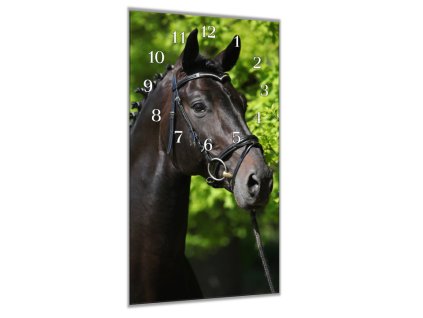 Nástěnné hodiny 30x60cm černý holandský plnokrevník (Materiál kalené sklo)