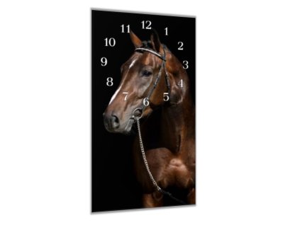 Nástěnné hodiny 30x60cm hnědý kůň (Materiál kalené sklo)