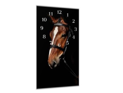 Nástěnné hodiny 30x60cm hlava koně s lysinou (Materiál kalené sklo)