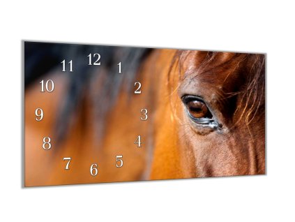 Nástěnné hodiny 30x60cm detail oka hnědý kůň (Materiál kalené sklo)