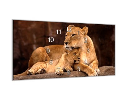 Nástěnné hodiny 30x60cm lvice a mládě (Materiál kalené sklo)