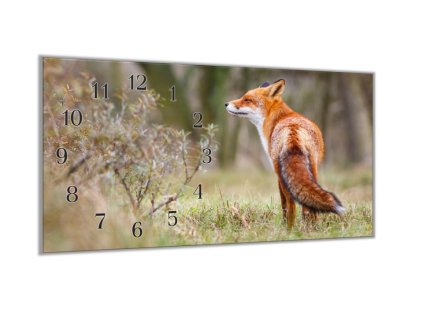 Nástěnné hodiny 30x60cm liška u keře (Materiál kalené sklo)