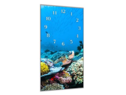 Nástěnné hodiny 30x60cm mořská želva pod hladinou (Materiál kalené sklo)