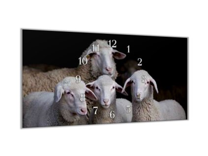 Nástěnné hodiny 30x60cm ovce a jehňata ve stodole (Materiál kalené sklo)