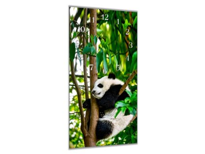 Nástěnné hodiny 30x60cm panda na stromě (Materiál kalené sklo)