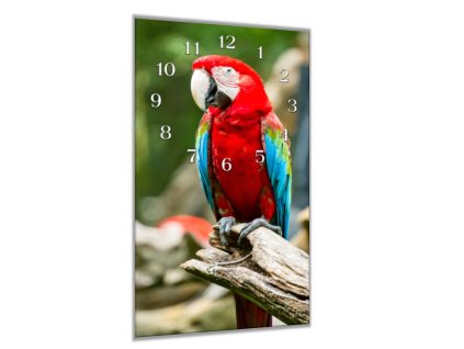 Nástěnné hodiny 30x60cm papoušek ara arakanga (Materiál kalené sklo)