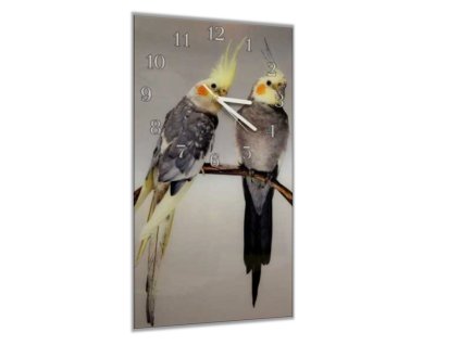 Nástěnné hodiny 30x60cm papoušek korela chocholatá (Materiál kalené sklo)