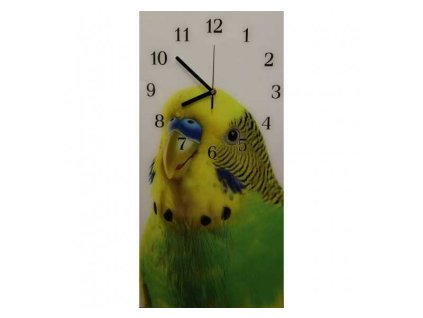 Nástěnné hodiny andulka vlnkovaná 30x60cm (Materiál kalené sklo)