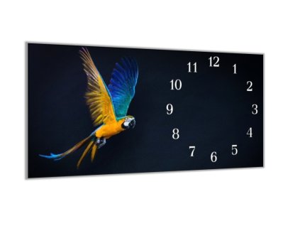 Nástěnné hodiny 30x60cm letící papoušek (Materiál kalené sklo)