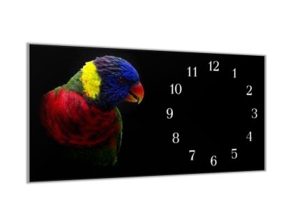Nástěnné hodiny 30x60cm papoušek lori mnohobarevný (Materiál kalené sklo)