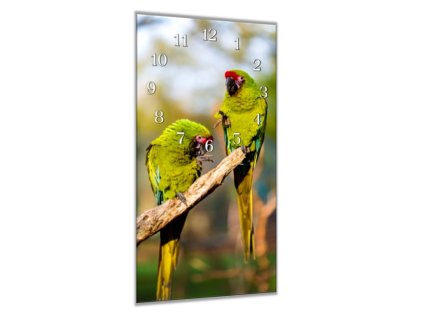 Nástěnné hodiny 30x60cm papoušek ara vojenský (Materiál kalené sklo)