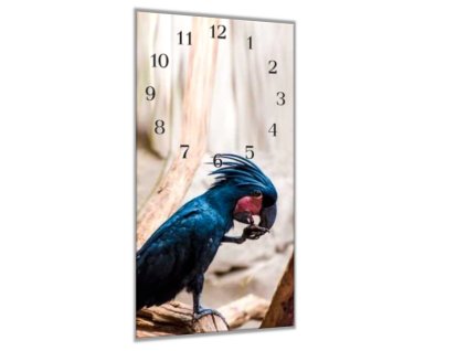 Nástěnné hodiny 30x60cm papoušek kakadu palmový (Materiál kalené sklo)