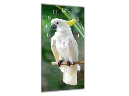Nástěnné hodiny 30x60cm papoušek kakadu (Materiál kalené sklo)