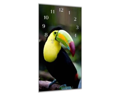 Nástěnné hodiny 30x60cm papoušek tukan (Materiál kalené sklo)