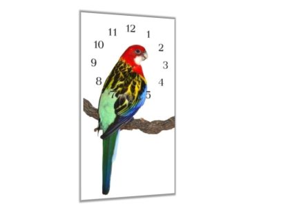 Nástěnné hodiny 30x60cm papoušek rozela pestrá (Materiál kalené sklo)