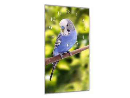 Nástěnné hodiny 30x60cm andulka vlnkovaná modrá (Materiál kalené sklo)