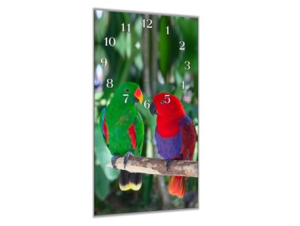 Nástěnné hodiny 30x60cm papoušek eklektus para (Materiál kalené sklo)