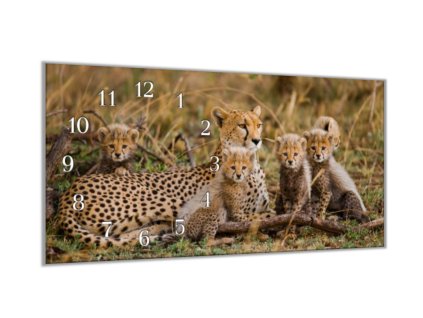 Nástěnné hodiny 30x60cm leopardí samice s mláďaty (Materiál kalené sklo)