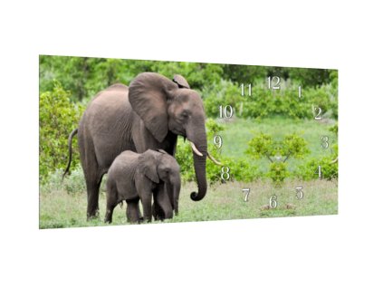 Nástěnné hodiny 30x60cm slonice a slůně (Materiál kalené sklo)