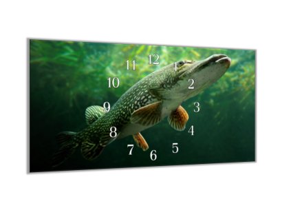 Nástěnné hodiny 30x60cm dravá ryba štika (Materiál kalené sklo)