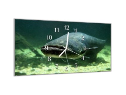 Nástěnné hodiny 30x60cm ryba sumec pod hladinou (Materiál kalené sklo)