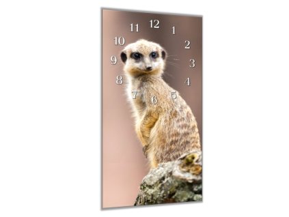 Nástěnné hodiny 30x60cm surikata na kameni (Materiál kalené sklo)
