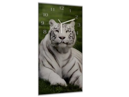 Nástěnné hodiny 30x60cm ležící bílý tygr na trávě (Materiál kalené sklo)