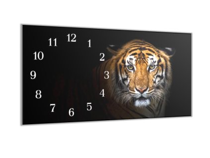 Nástěnné hodiny 30x60cm hlava zlatý tygr (Materiál kalené sklo)