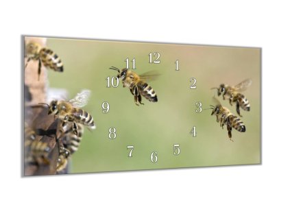 Nástěnné hodiny 30x60cm včely u včelínu (Materiál kalené sklo)