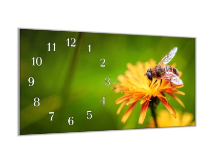 Nástěnné hodiny 30x60cm včela na květu (Materiál kalené sklo)