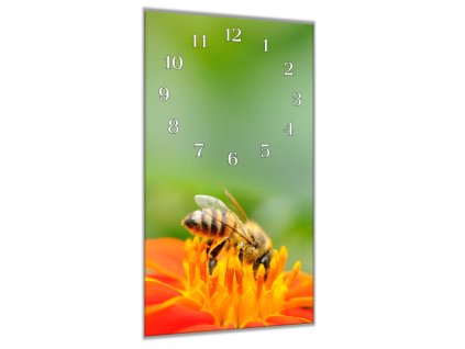 Nástěnné hodiny 30x60cm včela na oranžovém květu (Materiál kalené sklo)