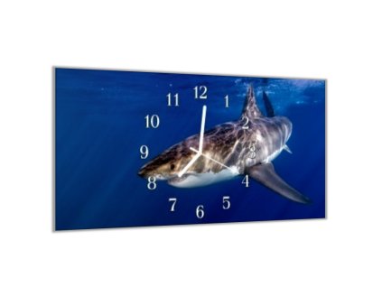 Nástěnné hodiny 30x60cm žralok pod hladinou (Materiál kalené sklo)