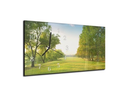 Nástěnné hodiny s motivem park 30x60cm (Materiál kalené sklo)