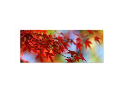 Obraz skleněný větev list červený javor (Rozměry-obdélník 90 x 120 cm)