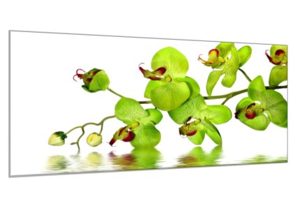 Obraz skleněný žlutočervená orchidej nad hladinou (Rozměry-obdélník 90 x 120 cm)
