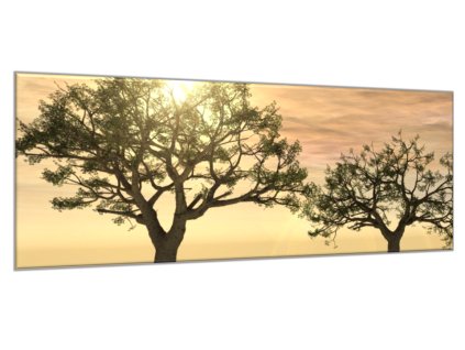 Obraz skleněný strom v západu slunce (Rozměry-obdélník 90 x 120 cm)