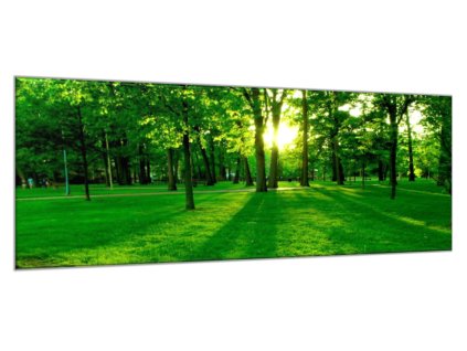 Obraz skleněný slunce prosvítá stromy v parku (Rozměry-obdélník 90 x 120 cm)