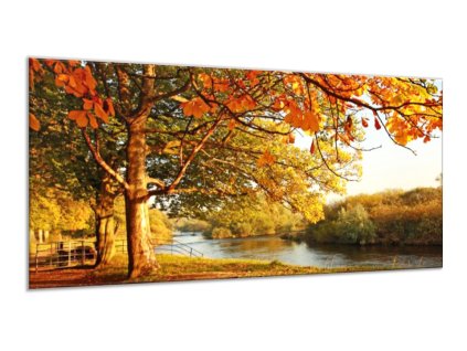 Obraz skleněný podzimní strom s lavičkou u řeky (Rozměry-obdélník 90 x 120 cm)