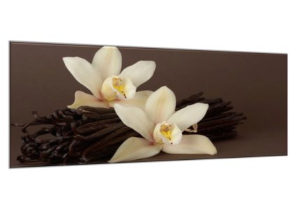 Obraz skleněný orchidej a vanilkový lusk (Rozměry-obdélník 90 x 120 cm)
