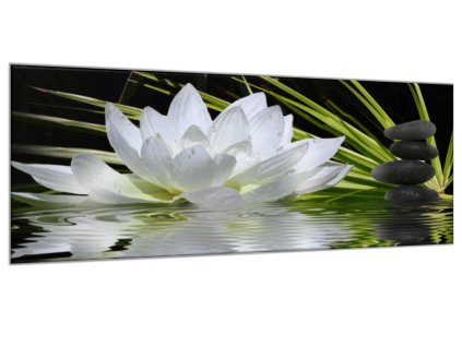 Obraz skleněný bílý květ leknínu na hladině (Rozměry-obdélník 90 x 120 cm)